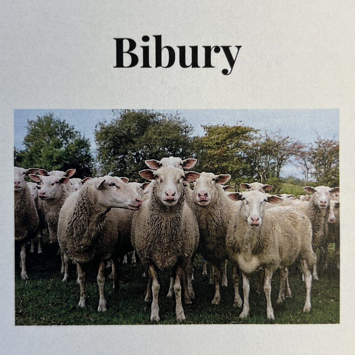 TheCheeseHut1's tweet photo. We’ve been lucky enough to be selected to receive some of the #New #Cheese called #Bibury from @KingStoneDairy A #Pasteurised #Sheeps cheese made from #milk from the flock of sheep from #RamHall where #Berkswell was made! This mountain style cheese is only limited so get some now https://t.co/LjxKr0ZQGB