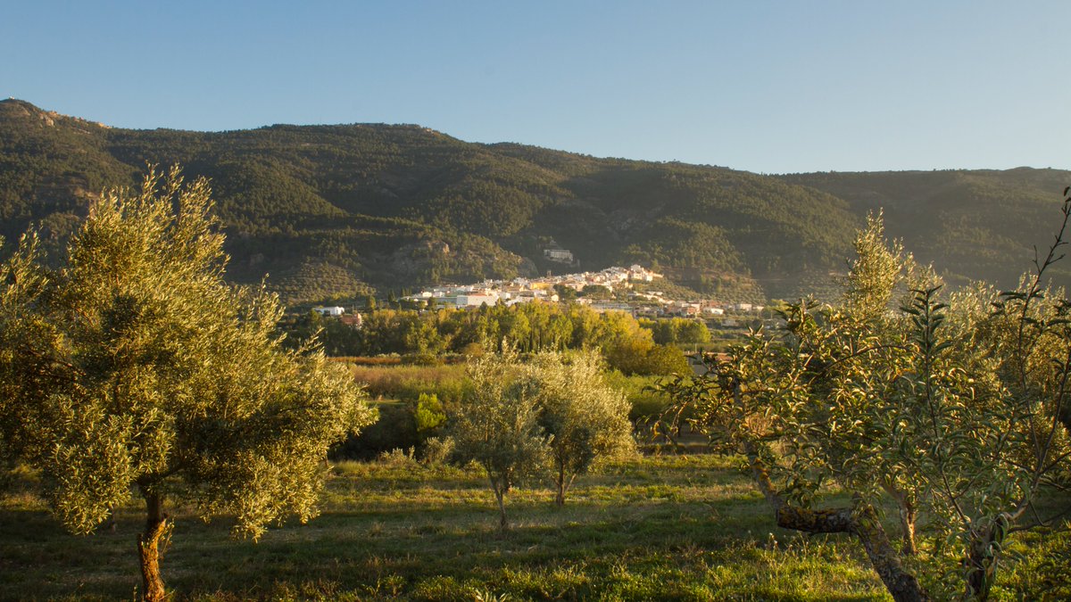 AgresRiera's tweet photo. Ja tens pla per al cap de setmana?
Reserva tu habitación para la noche del viernes y disfruta de la ruta guiada y gratuita el sábado por la mañana https://t.co/5rptuMHGO4