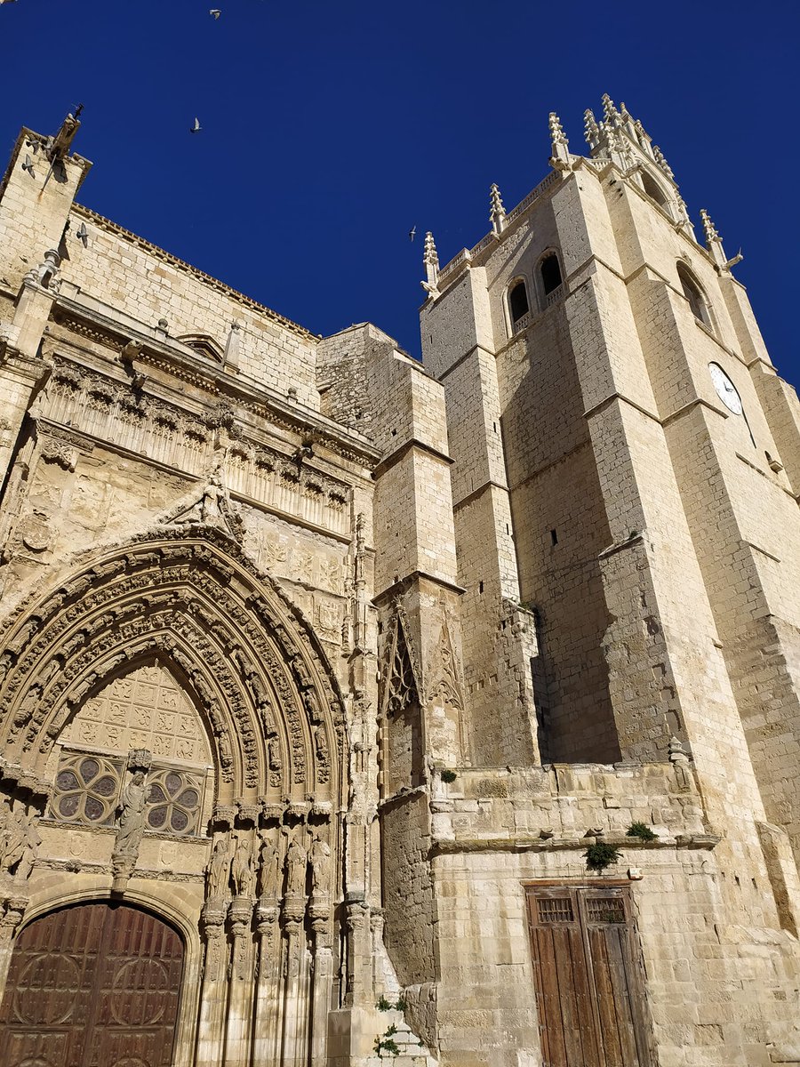 Paralelo20's tweet photo. #DiadePodcast🎧
Castilla y León en cifras :
🏰 La Catedral Palencia tiene la extensión en planta más grande de España 
Para más curiosidades, sigue el hilo
Escucha a D.Angel González Pieras ▶ https://t.co/Q8415rc5mK

 @jcyl @CyLEsVida @catedralpalenci https://t.co/PlMkGVVyJu