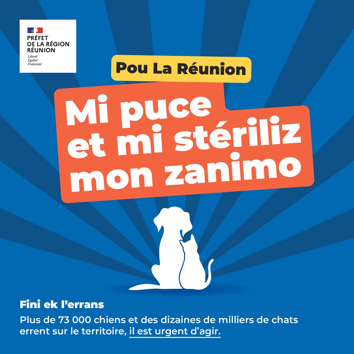 #AnimauxdeCompagnie🐾| Plus de 73 000 chiens et des dizaines milliers de chats errent sur notre territoire. Ce fléau est l'affaire de tous. Il est temps de lutter contre l'errance et la maltraitance animale. 
Ensemble, adoptons les bonnes pratiques 🇷🇪
ℹ️urlz.fr/p7gz