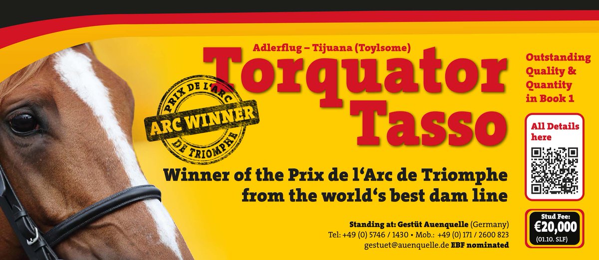 🇩🇪 TORQUATOR TASSO - Winner of the Gr.1 Prix de l'Arc de Triomphe from the world's best dam line ‼️ 🌟 Outstanding quality & quantity in his 1st book of mares Standing at Gestüt Auenquelle - €20,000 (1st Oct SLF) For more info visit ➡️ auenquelle.com/torquator-tasso #ReadAllAboutIt