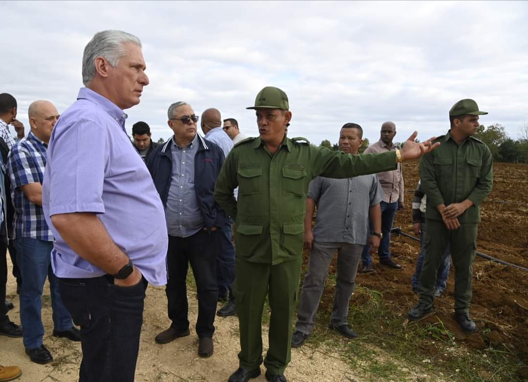 Frank16726439's tweet photo. Tenemos que producir alimentos, queda mucho por hacer. 

No podemos depender de las importaciones. 

En los campos cubanos hay mucha gente librando esa batalla. 
#GenteQueSuma https://t.co/bAOZJva4Fg