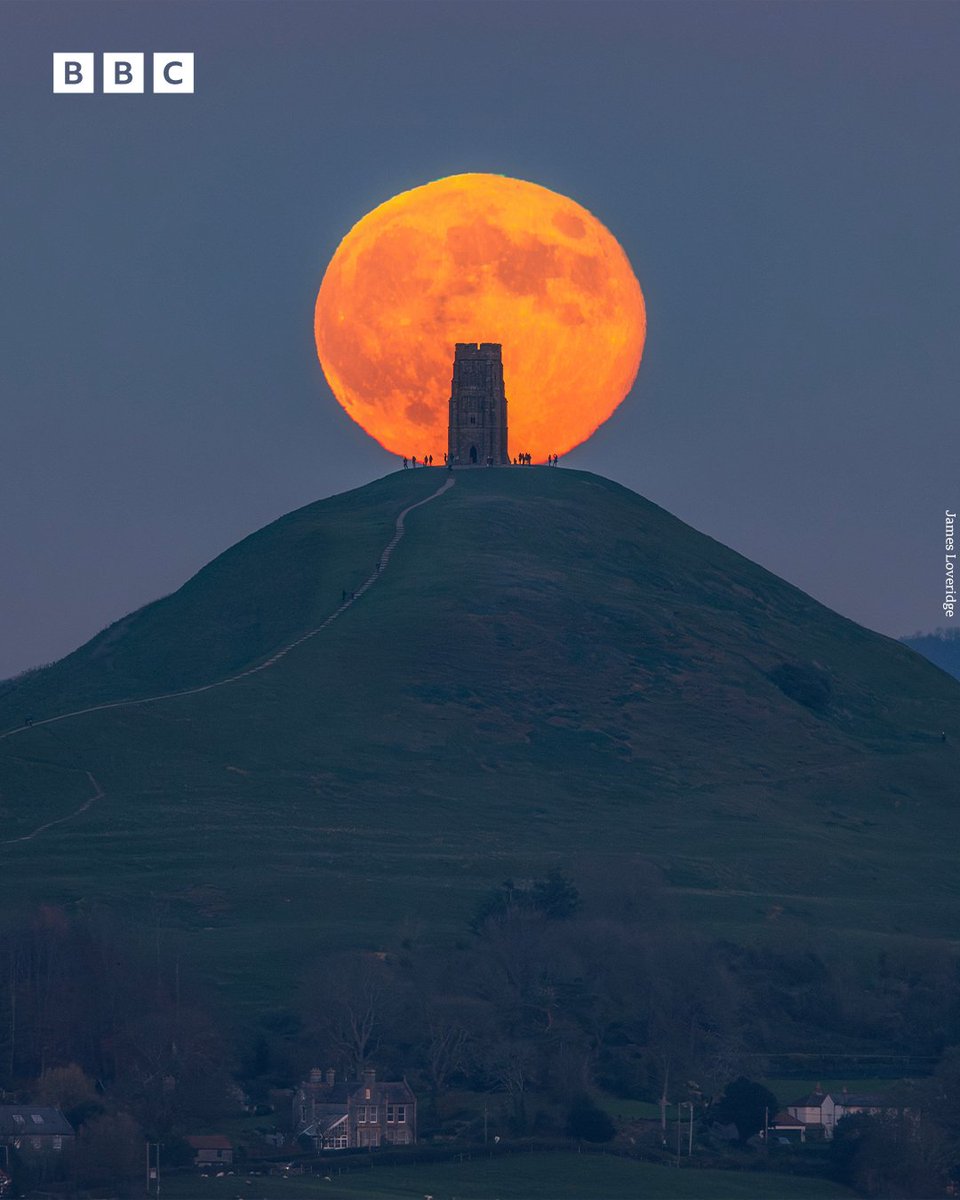 BBC Bristol (@bbcbristol) on Twitter photo Simply stunning π
A full moon rising behind Glastonbury Tor.
πΈ <a href="/JLP_Dorset/">James Loveridge Photography</a> Simply stunning π
A full moon rising behind Glastonbury Tor.
πΈ <a href="/JLP_Dorset/">James Loveridge Photography</a>