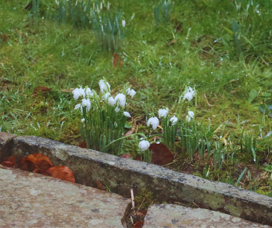 HonleyHighUK's tweet photo. This morning we spotted the first signs of Spring popping up on our school grounds - we're so lucky to be surrounded by so much green space.
Spring is on on the way!
#HonleyHighSchool #greenspace #striveforthehighest https://t.co/3npHl2CnBz