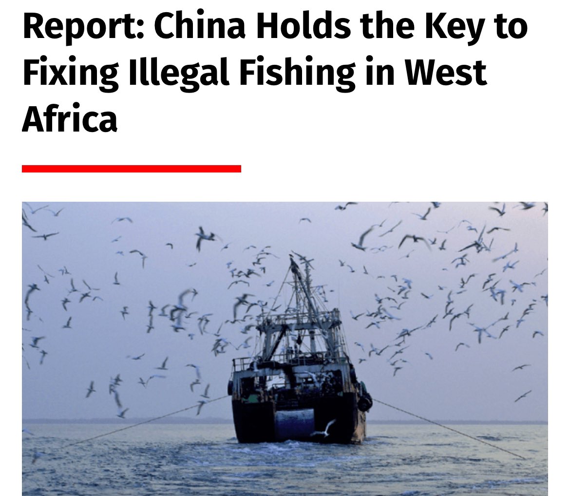 “~9.4 billions are lost annually” from IUUF in West Africa of which THE major player is none other than the self declared so-called champion of the ‘Global South’.

Words are never matched with deeds when it comes to 🇨🇳.
maritime-executive.com/article/report…
