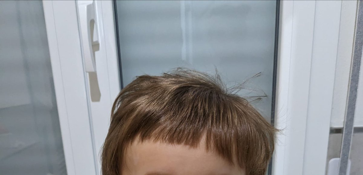 fedeonofri's tweet image. Che si metta agli atti che era meglio portarlo dal barbiere🤣
#stomale
#nipote