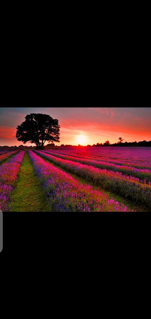 GhulamAlikand10's tweet photo. دنيا جي نقشي جو هتڙي پسي وٺ ڇيھ سائين
ناراضگيون جو انت ڪري اورتي ويھ سائين 
جهان سڄي جا ڪئين شھنشاھ  قبرون    وسايون
ڪهڙي  سوچ ۾ ٻڏل ڄڻ رهين ٿو پرڏيھ سائين
غلام علي ڪانڌڙو
#سنڌي_ادب https://t.co/jlz9wL8t4o