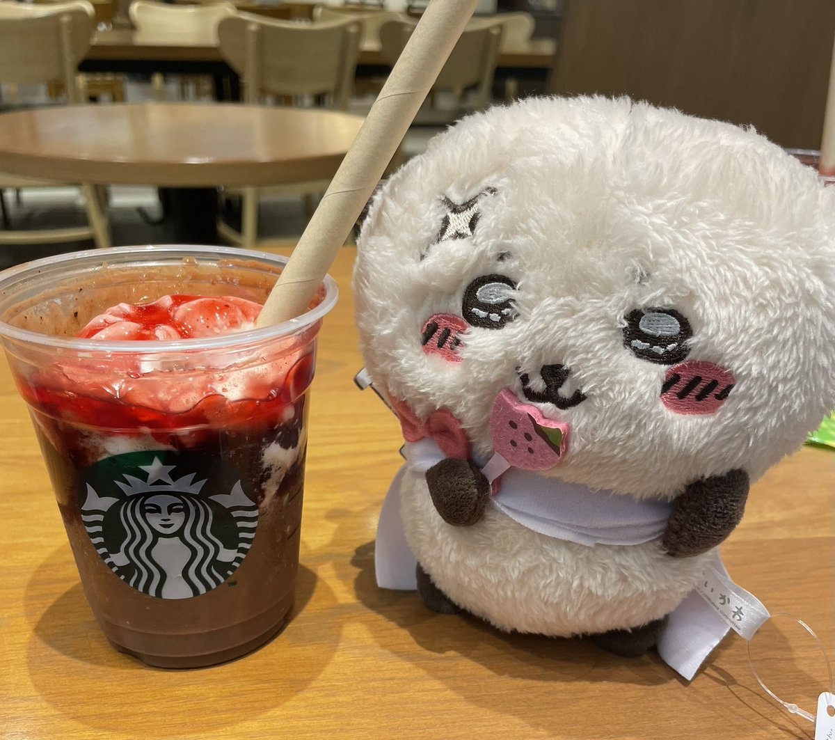 6k_gf's tweet photo. ルージュオペラフラペチーノ
ラッコ先生と一緒に📷 https://t.co/OcO1EkkgFy