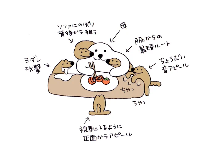 トマトを食べる母🍅
トマトを虎視眈々と狙ういぬ🐕 