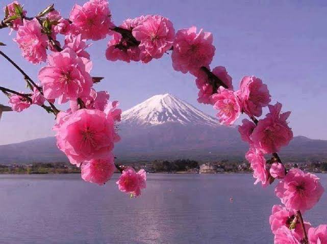 AŞK💕BEYİ💕SERKAN tweet media