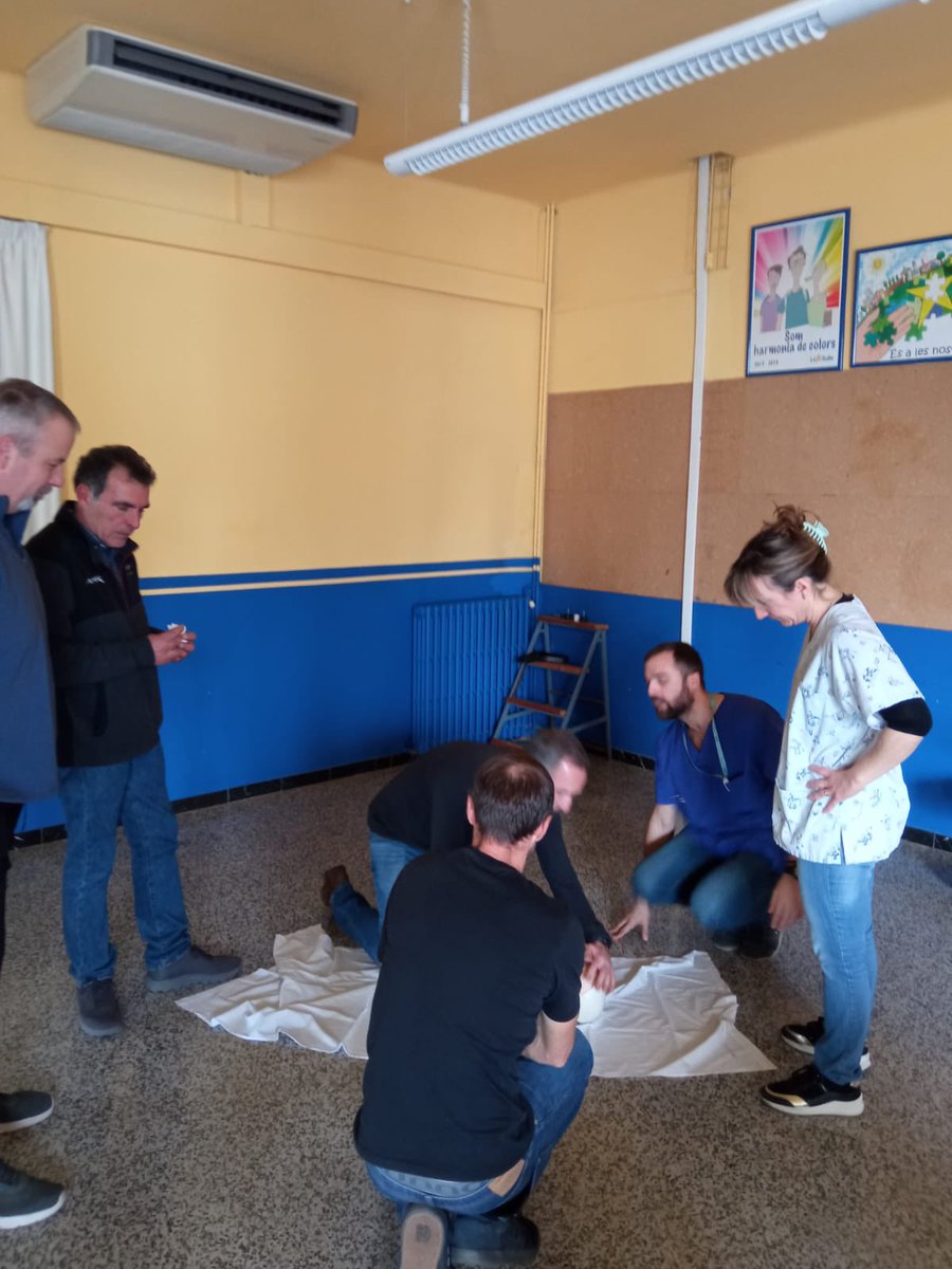 PediatriaPirineus tweet media