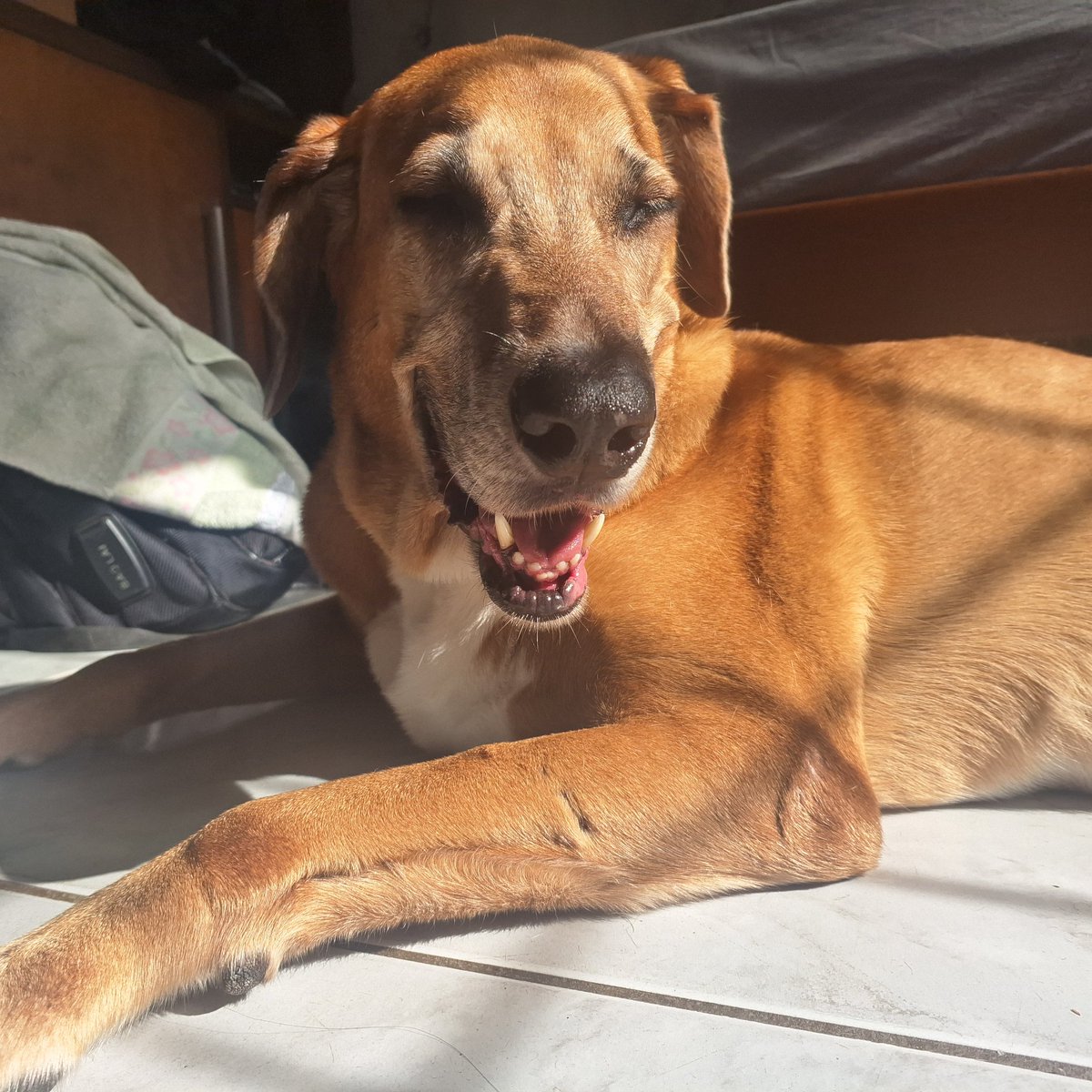 cherryamis's tweet photo. como pode esse nenem ter 8 anos olha os dentin tortin https://t.co/fO4bTneEH1