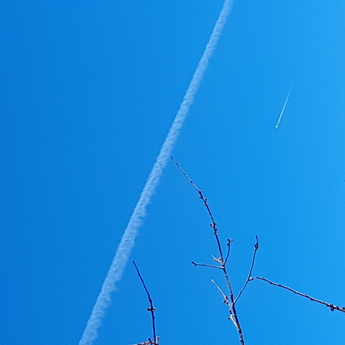 Not a cloud in the sky here in #Belfast...flight from Amsterdam to Boston overhead - How amazing is @flightradar24!