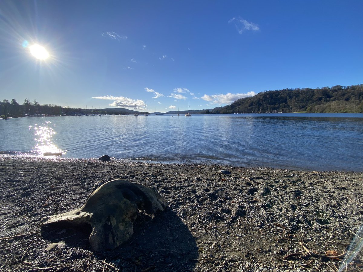 jonstokoe's tweet photo. Mornin’ all 😎
#cockshottpoint #windermere #lakedistrict https://t.co/UeEEGk1csV