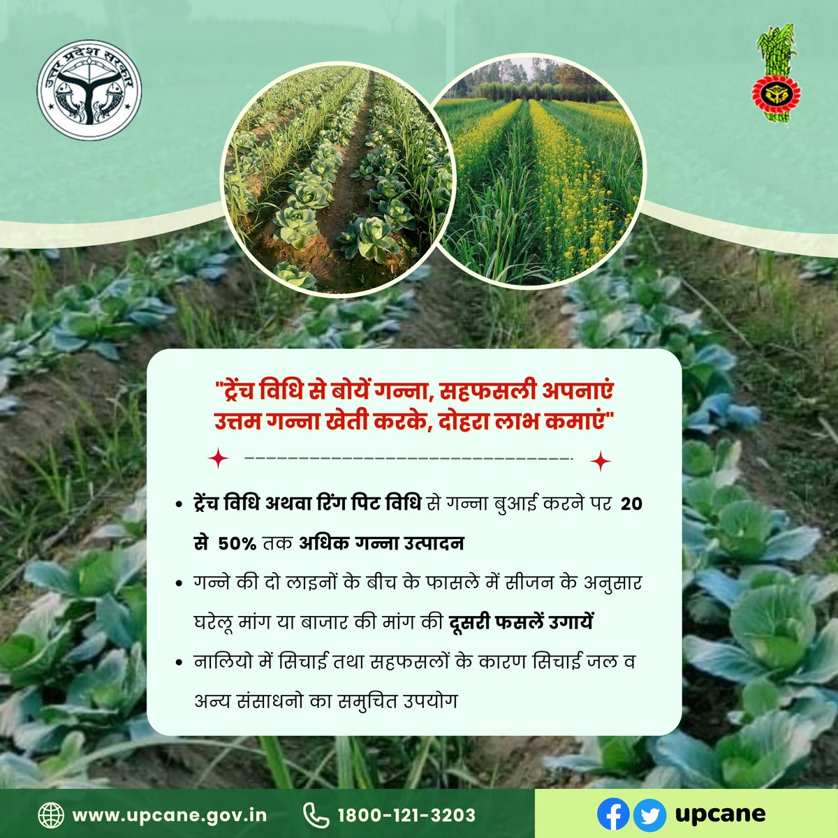Cane Development UP tweet media