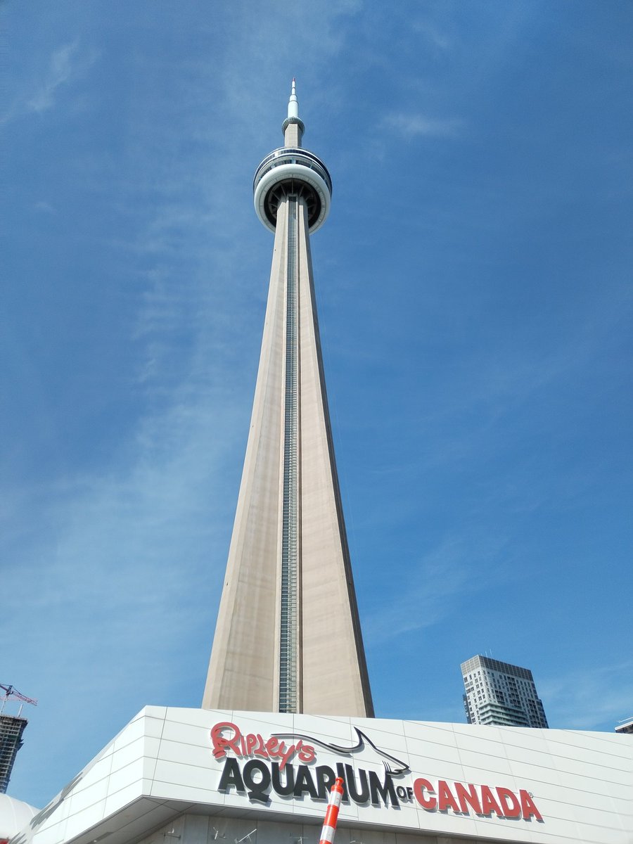 MManeiroCremona's tweet photo. 🇨🇦 https://t.co/xuHbr4ZwPb