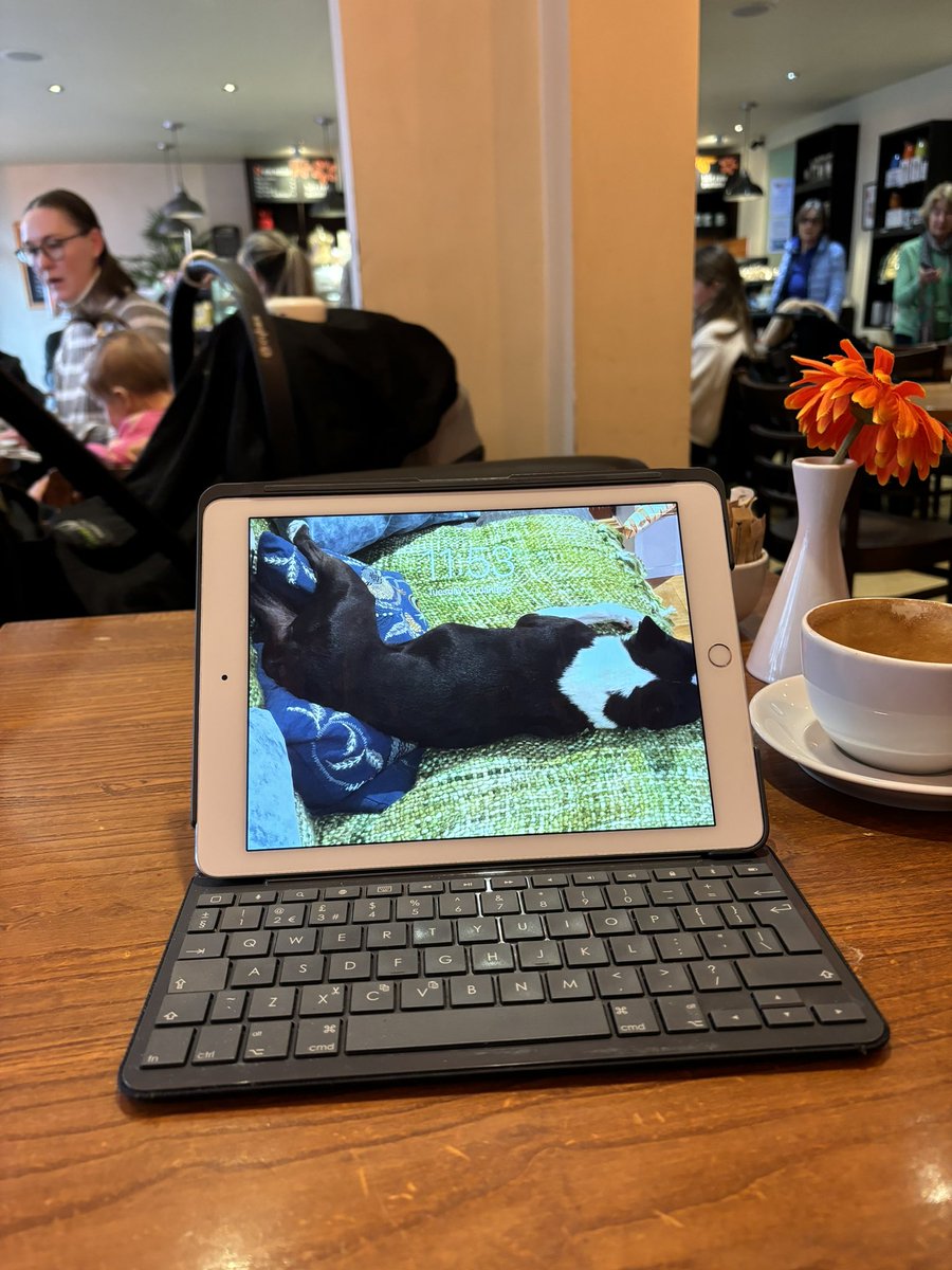 Coffee shop writing. Are you a yes or a no? It’s actually really busy in here with mums and babies but I’ve got my writing playlist on so I’m fine. I can blot everything out when I have music on. #WritingCommunity #coffeeshopwriting