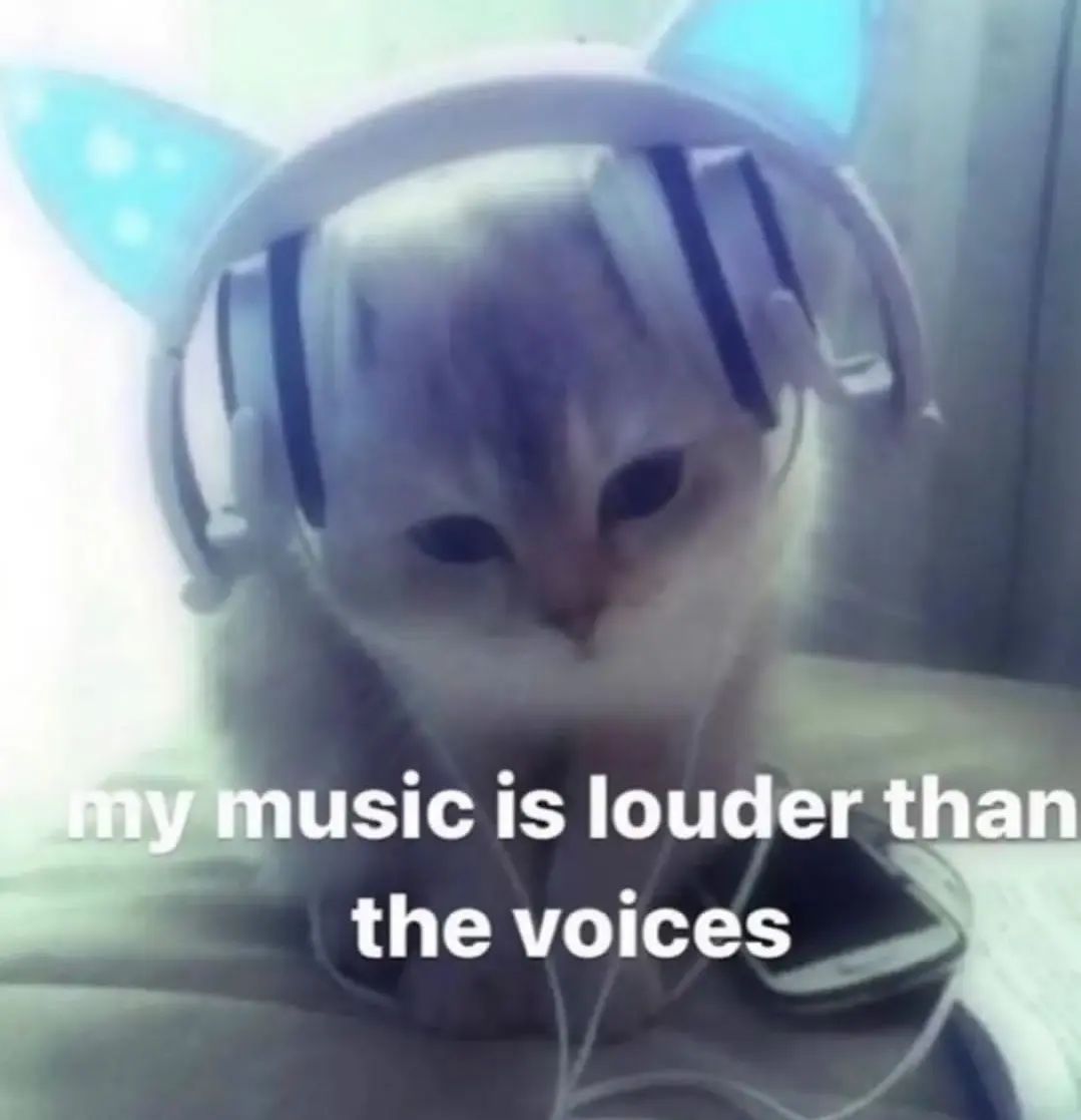 Punch Cat (@punchingcat) on Twitter photo 