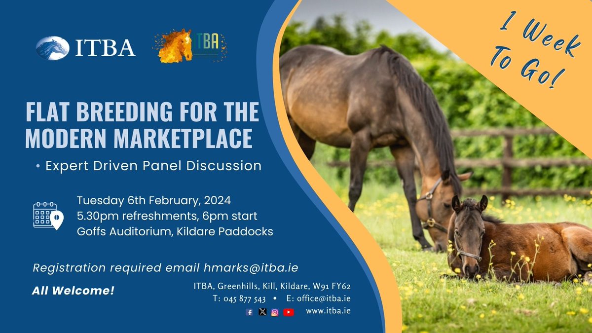 1⃣ Week To Go!

Join #ITBANextGen for an expert driven panel discussion on 𝑭𝒍𝒂𝒕 𝑩𝒓𝒆𝒆𝒅𝒊𝒏𝒈 𝒇𝒐𝒓 𝒕𝒉𝒆 𝑴𝒐𝒅𝒆𝒓𝒏 𝑴𝒂𝒓𝒌𝒆𝒕𝒑𝒍𝒂𝒄𝒆 at <a href="/Goffs1866/">Goffs</a>

🗓️ Tues 6th Feb 2024, 6pm

All Welcome!👉Register at shorturl.at/gvKM5

#learntodayleadtomorrow