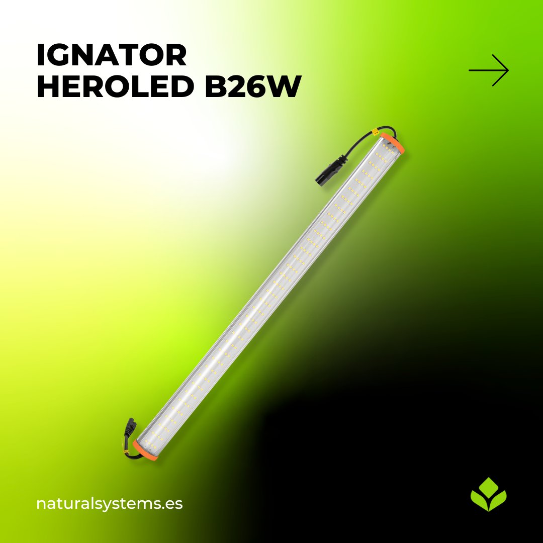 NaturalSystemsD's tweet photo. Ignator HeroLED B26W Crecimiento 6600º K es ideal para el cultivo de plántulas y esquejes 💥

¿Quieres saber más? Encuéntralo en nuestra web ➡️ https://t.co/FALTJ32kkC

Recuerda, solo para profesionales 🤙

#naturalsystems #horticulturatecnica #horticultura #cultivo #crops https://t.co/BDCsHyFwc4