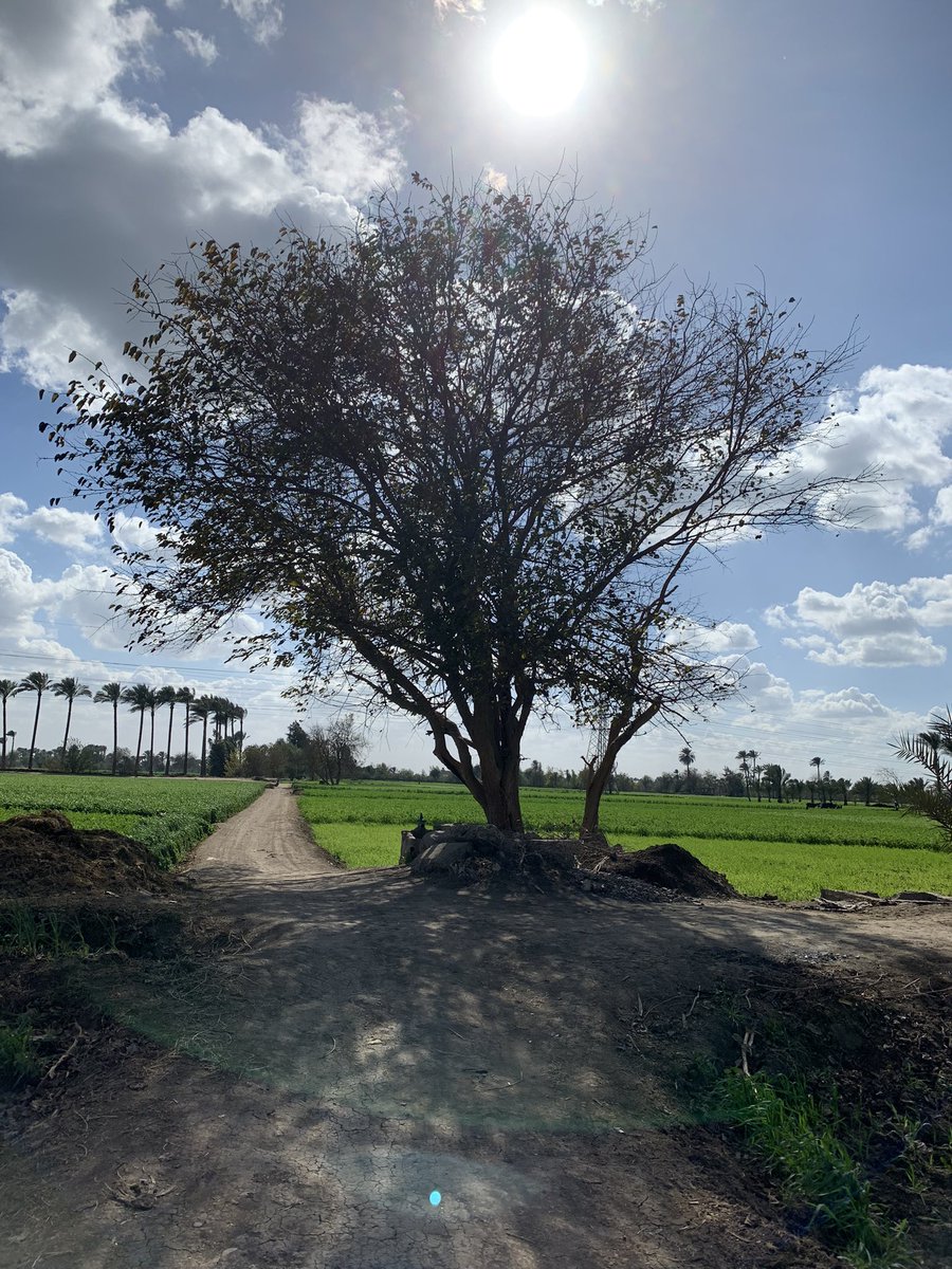mo3ttar's tweet photo. Today’s sky ♥️ https://t.co/wtqJogE8uk