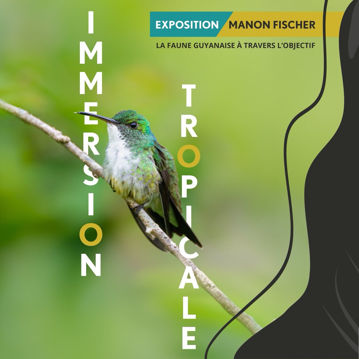 assognaum's tweet photo. 📣Nous  sommes heureux de vous inviter à l’exposition photographique «  Immersion tropicale, la faune guyanaise à travers l’objectif » de Manon Fischer à la BU de la faculté des Sciences, du  13/02 au 29/02 !

Affiche réalisée par le Service Commun de documentation de l’UM. https://t.co/j9KNZYkbSR
