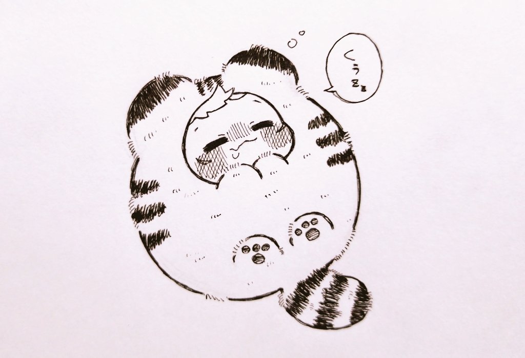 落ちてる🐯ゆじくん発見
くぅ💤 