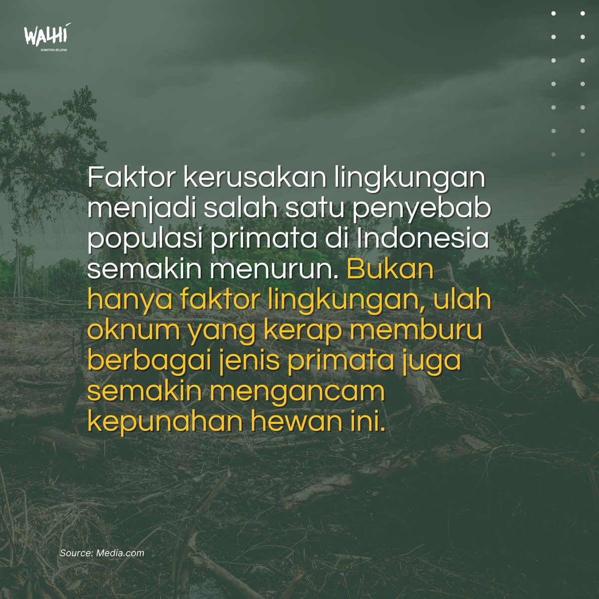 WALHI SUMSEL tweet media