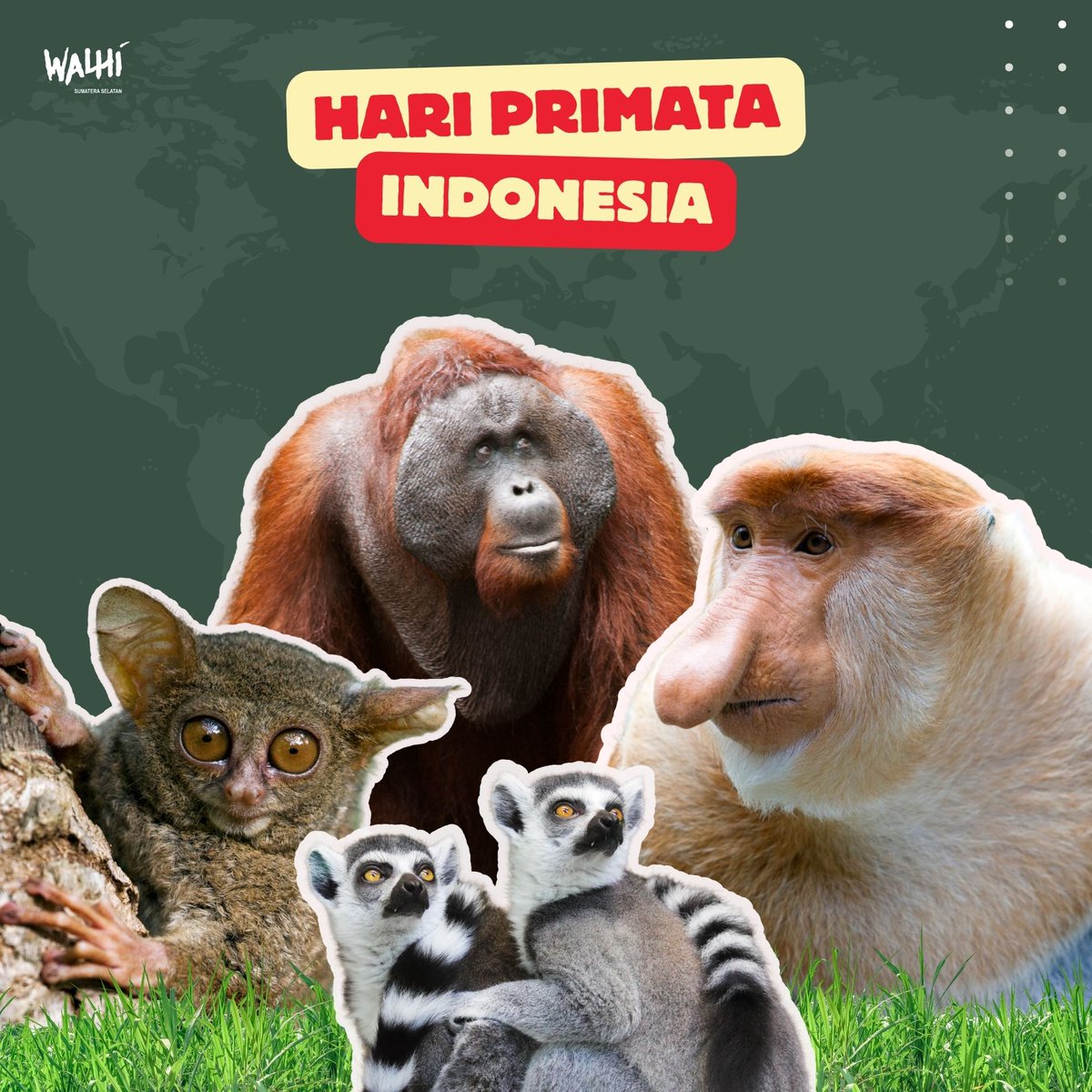 WALHI SUMSEL tweet media