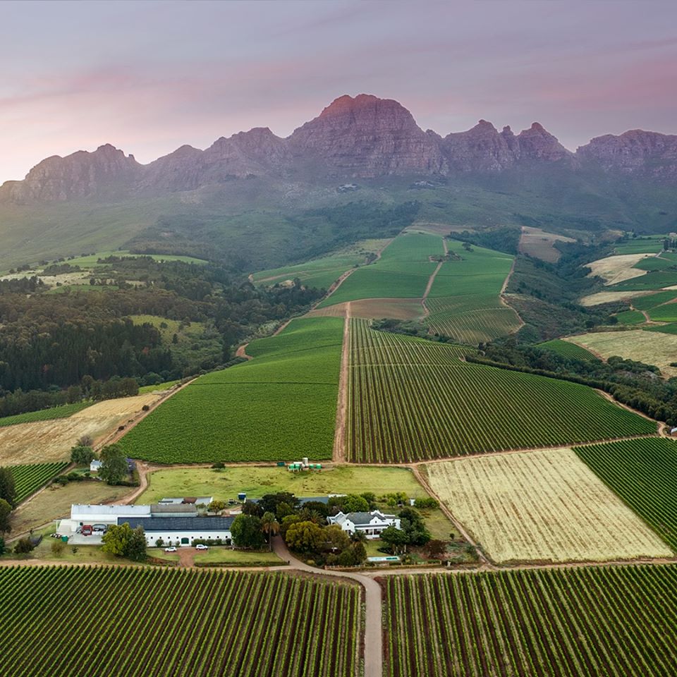 capestop's tweet photo. #RunTheVines #3
The third event in this series will be at the Alto Estate on the spectacular northern slopes of the Helderberg
where: @AltoWines, Stellenbosch
when: 09 Mar from 07h15
km: 5 | 10 | 17
https://t.co/GKISwhUqhC
@Eircans @LeonSpamers_ @coffeecalcs @runventures https://t.co/AXjR35WVVC
