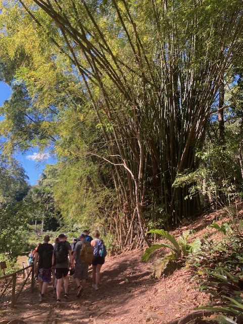 gorse_ruth's tweet photo. 🇹🇹🙌🌞Check out these amazing pictures! We're so jealous! #enrichment #shapingcharacter #daretoachieve #adventure https://t.co/AqeH7GU2vl