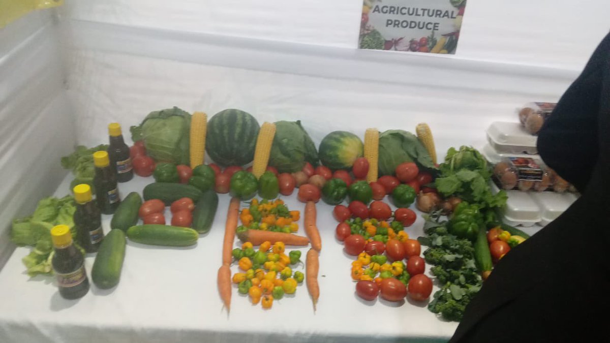 williams_fayval's tweet image. Teacher Tuesday applauds Jodiann Thomas, Agricultural Science Teacher who spearheaded the 4H Club &amp;amp; the crop production aspect of her department at the Papine HS. Annually, many of her students enter and are successful at both the 4H Parish &amp;amp; National Competitions.👏🏾🇯🇲💚🙏#PHS