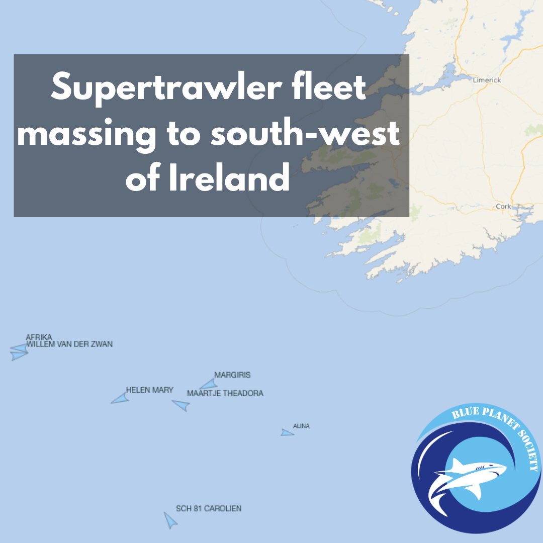 Seasaver's tweet image. The #supertrawler fleet has been massing to the south west of Ireland over the last week, including the notorious Margiris at 143 metres. There are currently seven vessels in the area with four more supertrawlers moving west through the channel potentially on course to join them.…