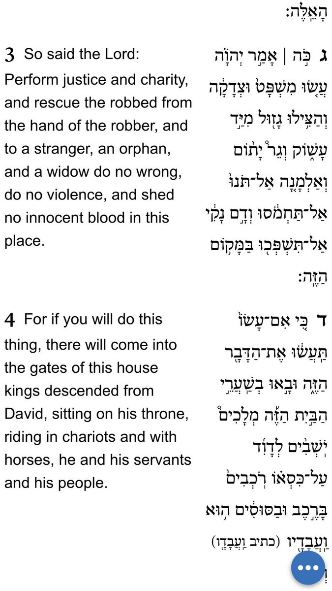 Chaya ✡️ ‎חיה לֵוִי tweet media