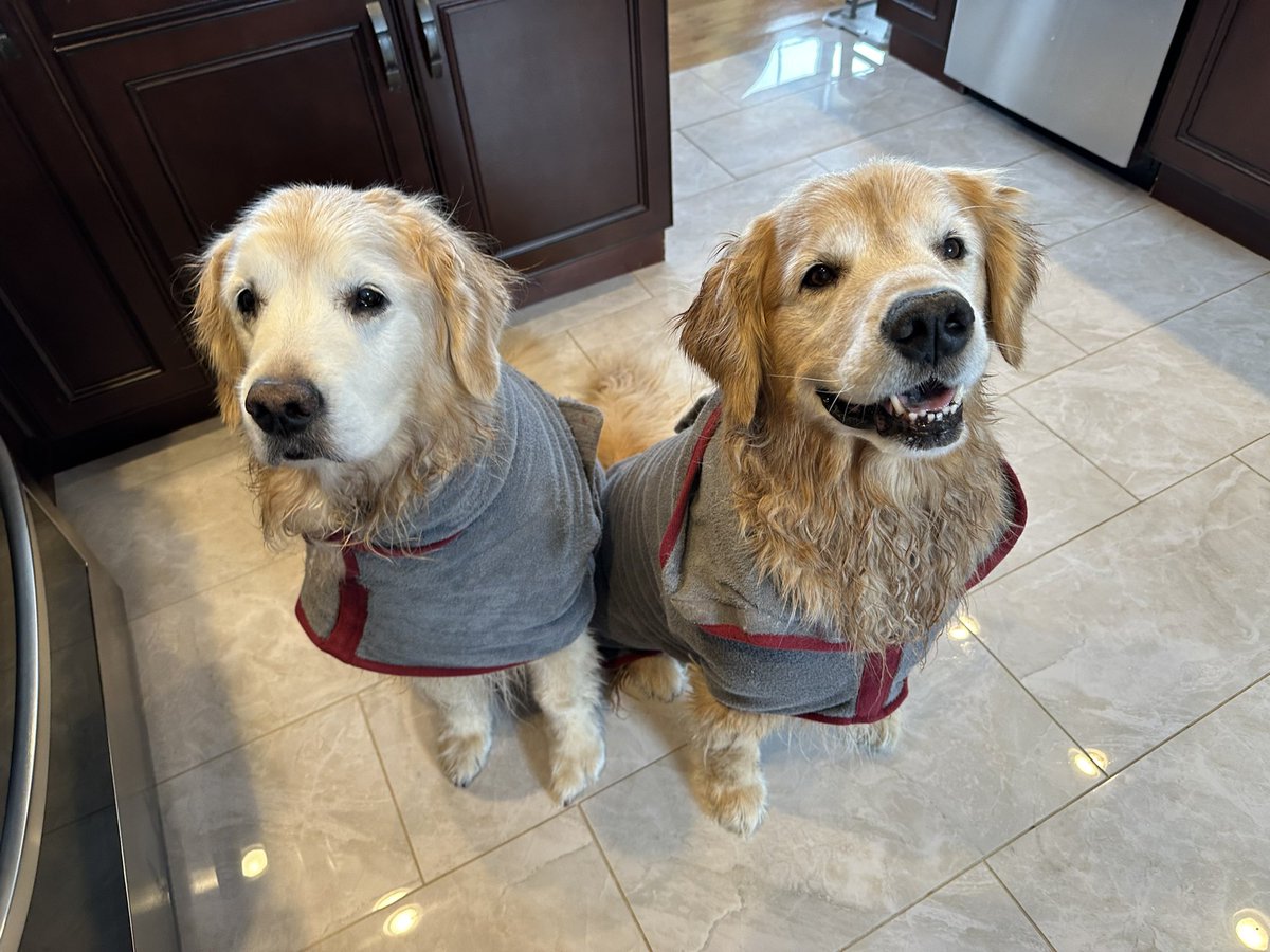 🇨🇦Lynn & Murphy of the North🇨🇦 tweet media