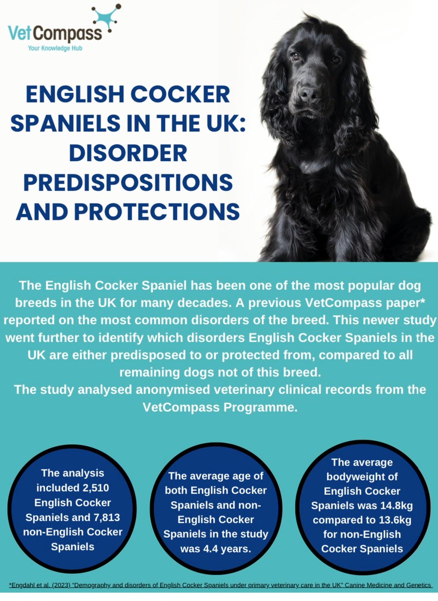 VetCompass tweet media