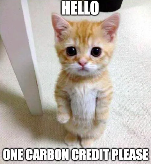 Yantieladyrose's tweet photo. Want to help combat climate change? Consider carbon offsetting! It allows you to invest in projects that help reduce carbon emissions, like renewable energy or reforestation. By purchasing carbon credits, you neutralize your own carbon footprint and support a greener future. https://t.co/gr5xuy9hD0