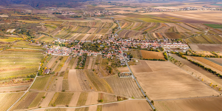 SavageVinesUK's tweet photo. Learn All About Austria. An old-world wine-making nation with a rich history.

Read More: https://t.co/PxcNpGsVjh

#wine #winelover #wineclub #organic #winesubscription #uk #drinks #austria #austrianwine https://t.co/99E2aFMcT5