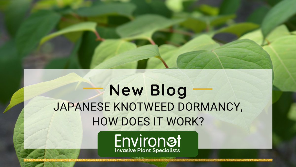 Environet UK Ltd tweet media