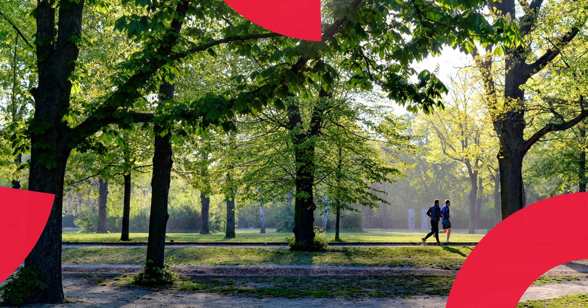 enovationsro's tweet photo. 🌿 Zelená infrastruktura

Příjem žádostí o dotace na projekty zelené infrastruktury otevřen! Cílem je revitalizace a propojení zelené infrastruktury.

💶 Rozpočet: 5 - 100 mil. Kč, pro Prahu bez limitu. 
🤝 Žadatelé: Města, obce a další.

➡️Více informací: https://t.co/WeVvLoGwlI https://t.co/U6f9dFnQwi