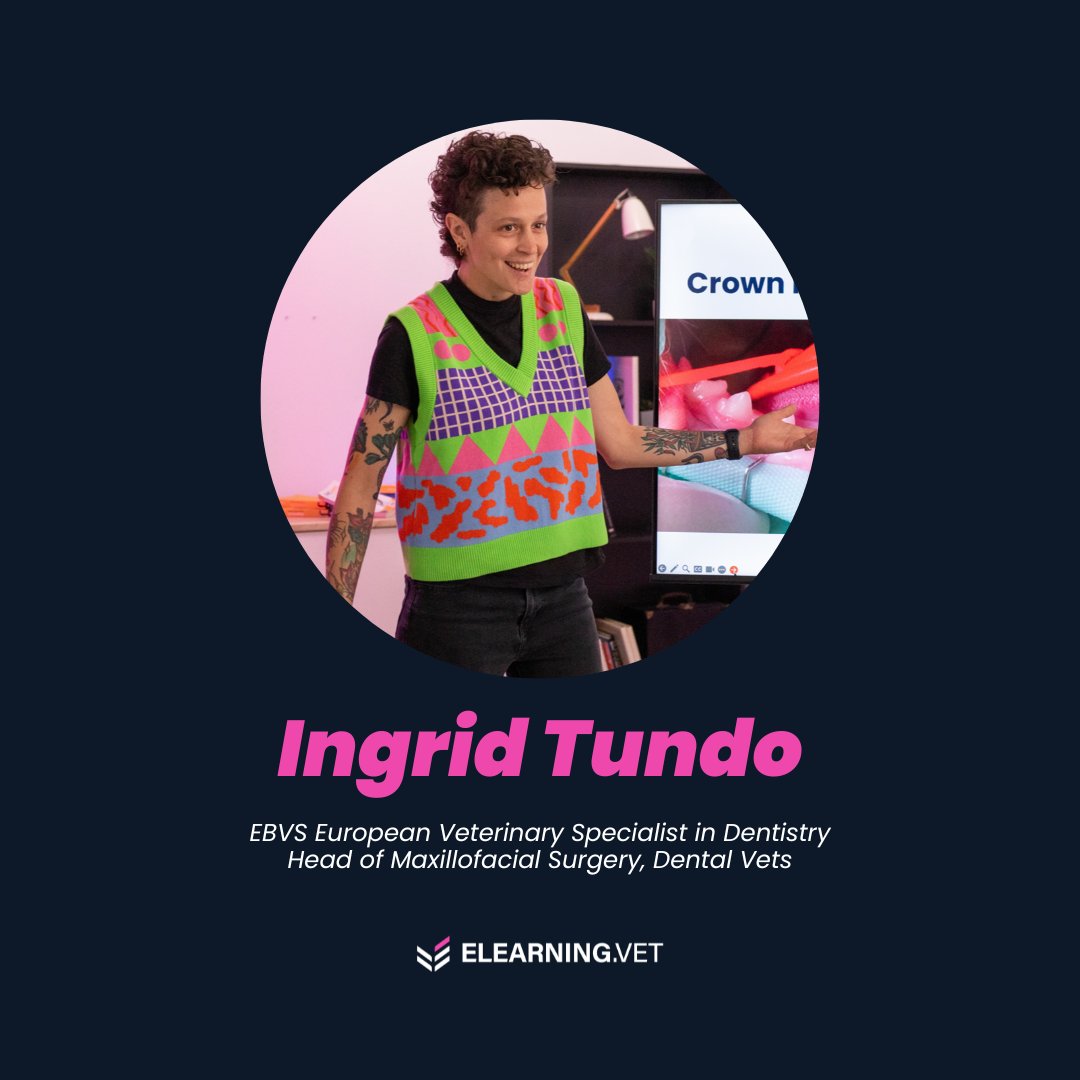 ElearningV's tweet image. Join us tomorrow at 8pm for A Masterclass in Maxillary Fourth Premolar Extraction in Dogs! 🦷

🆓 FREE EVENT in association with iM3 Dental! Register: i.mtr.cool/vckaocxhmu