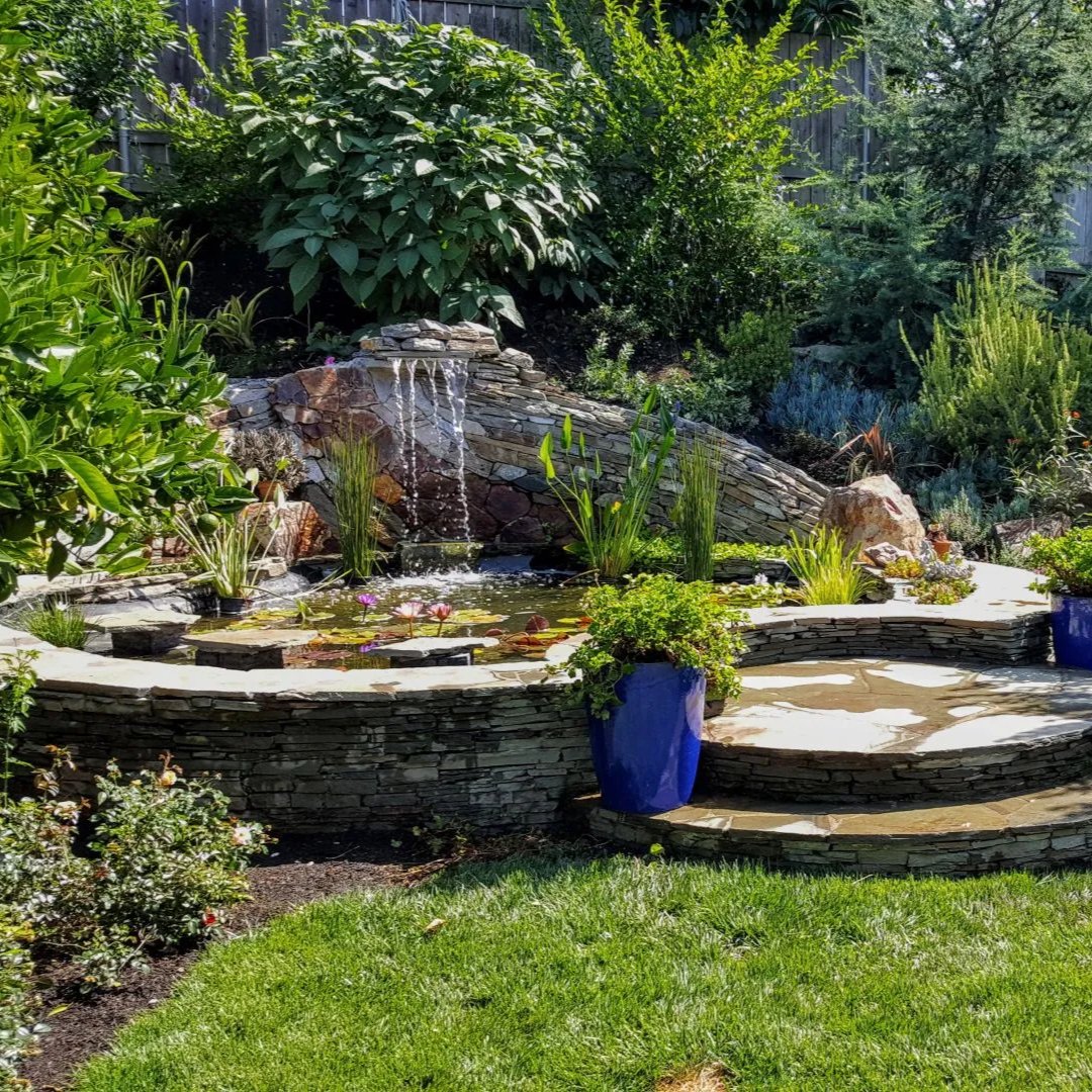 Drainage

Full article: 1l.ink/DPPRV47

#BeaudryGardenDesign #LandscapeDesign #Environmentalism #Landscaping #OutdoorLiving #Garden #Barbecue #PatioDesign #CommunityGreen #GardenSanctuary #Sanctuary