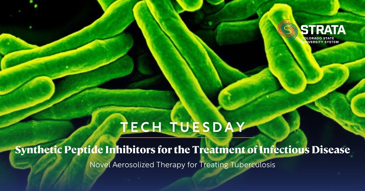 CSU STRATA - Tech Transfer (@csu_strata_tech) on Twitter photo #TechTuesday: Researchers at <a href="/ColoradoStateU/">Colorado State University</a> and the Department of Health and Human Services have developed a Tuberculosis therapy—synthetic peptide-based inhibitors that cut Mycobacterium tuberculosis bacterial load by over 90% in just two weeks.
csustrata.org/available_tech… #TechTuesday: Researchers at <a href="/ColoradoStateU/">Colorado State University</a> and the Department of Health and Human Services have developed a Tuberculosis therapy—synthetic peptide-based inhibitors that cut Mycobacterium tuberculosis bacterial load by over 90% in just two weeks.
csustrata.org/available_tech…