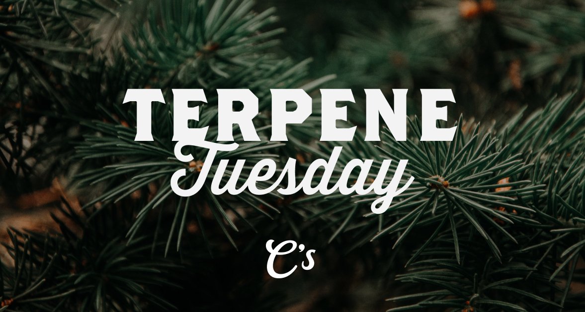 ShoppeCallies's tweet photo. Pinene, a terpene as refreshing as a walk in the woods. This remarkable terpene is also revered for its potential anti-inflammatory properties and ability to enhance airflow and respiratory functions. 🌬️

#terpenes #terpenetuesday #potency #terptuesdays https://t.co/74M1Xtl9mY