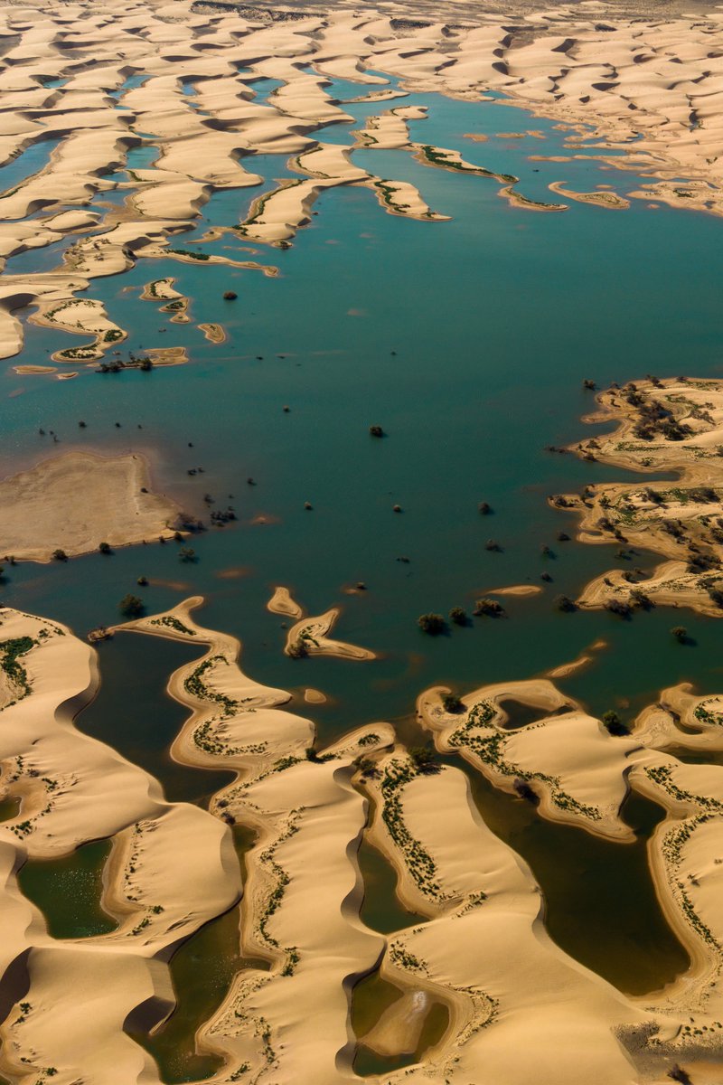 GiulioAprin's tweet photo. Sand Lake 🏊🏼‍♂️ 
SOL Limited Edition on Exchange Art https://t.co/1uu8tb9CFM