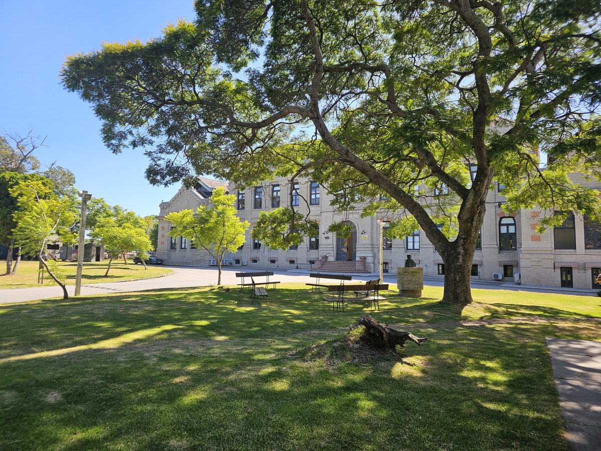 RodrigoArim1's tweet photo. El campus Luisi Janicki, ex Facultad de Veterinaria. Un disfrute verlo en verano. https://t.co/9rdiXG0shx