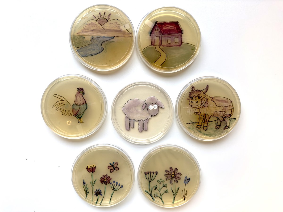 The #ECCMID2024 #ArtGallery is being released next week! In advance of this we are showing off the big winners from this year's submissions. We start off with our special Agar Art prize awarded to Rocío Arazo del Pino for his piece: Bacterial Farm!