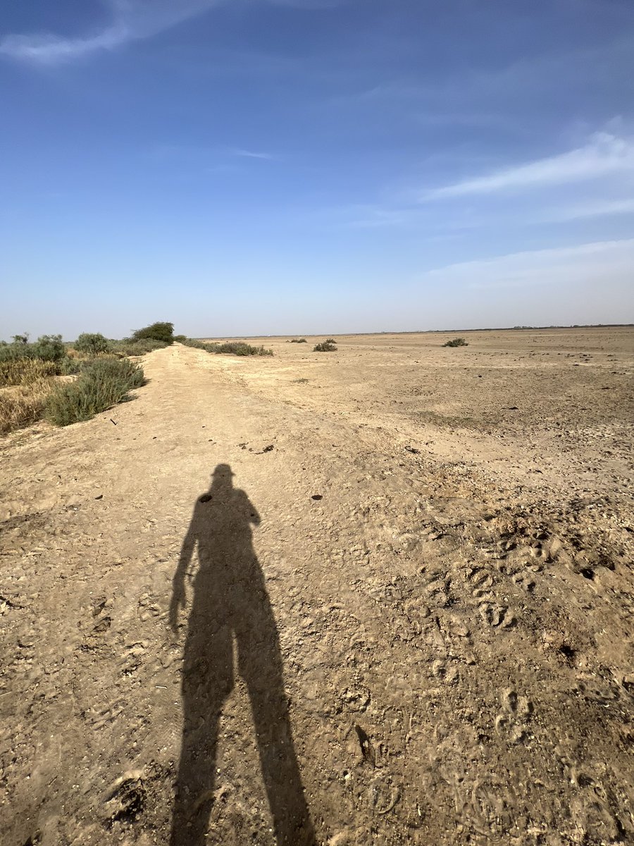 Last day in Senegal today. Sahara is coming.  I’m ready🫡