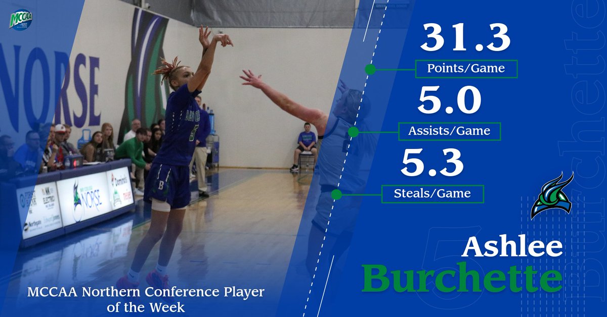 baywbb tweet picture