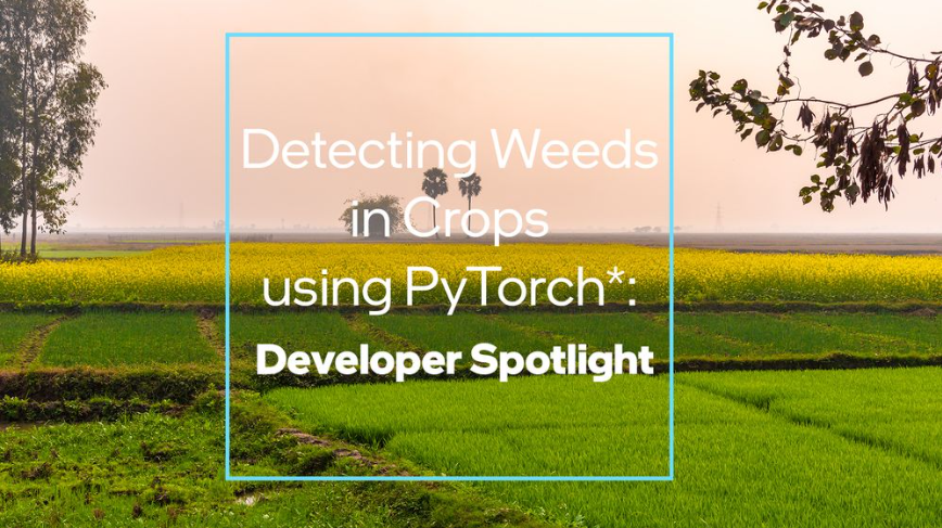 IntelDevTools's tweet image. Discover how image classification using Intel Extension for @PyTorch can help farmers increase crop yields by identifying weeds that steal nutrients and sunlight, and allowing them to take targeted action to remove them: intel.ly/3UBAtjR

#oneAPI #IntelDeveloperCloud